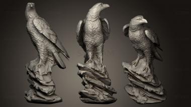 3D model Eagle (STL)